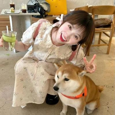侦探拍档
